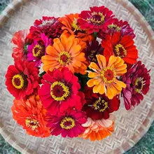 Load image into Gallery viewer, Annual Flower Seed Packet (different types available)