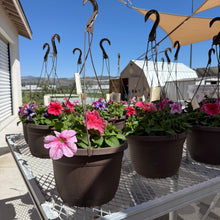 Load image into Gallery viewer, Petunia hanging basket (pink/ purple mix)
