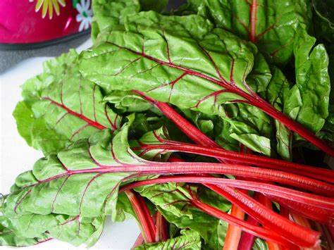 Red/Green Chard Seedlings