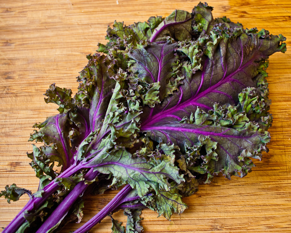 Red Russian Kale (Seedling)