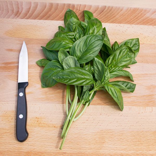 Basil, Genovese