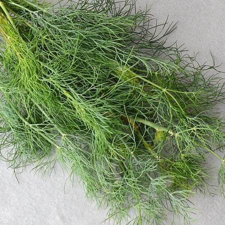Dill